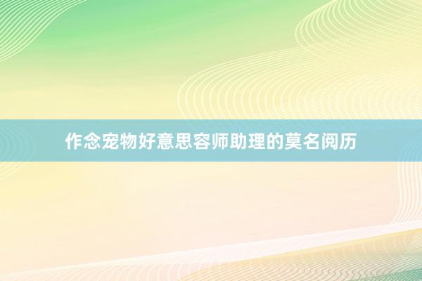 作念宠物好意思容师助理的莫名阅历