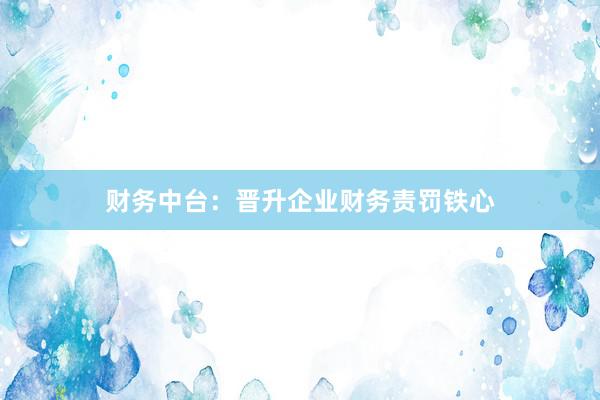 财务中台：晋升企业财务责罚铁心